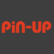 Pin Up